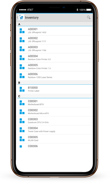 Check on-Hand Inventory & Item Data