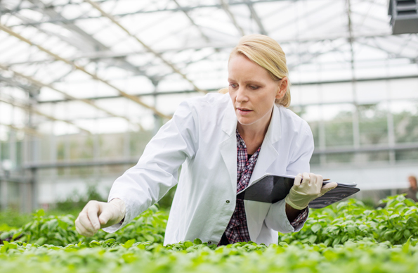 Why Life Sciences Enterprises Need SAP S/4HANA? Why Life Sciences Enterprises Need SAP S/4HANA?