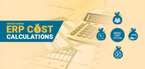 Understanding ERP Cost Calculations