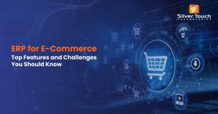 ERP for E-Commerce- Top Features and Challenges You Should Know