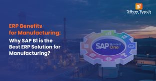 ERP Benefits for Manufacturing: Why SAP B1 is the Best ERP Solution for Manufacturing?