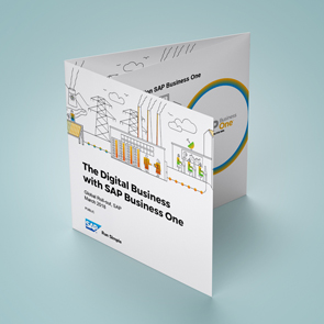 Sap Business One 9 2 License Comparison Chart