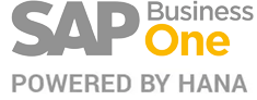 sap business one