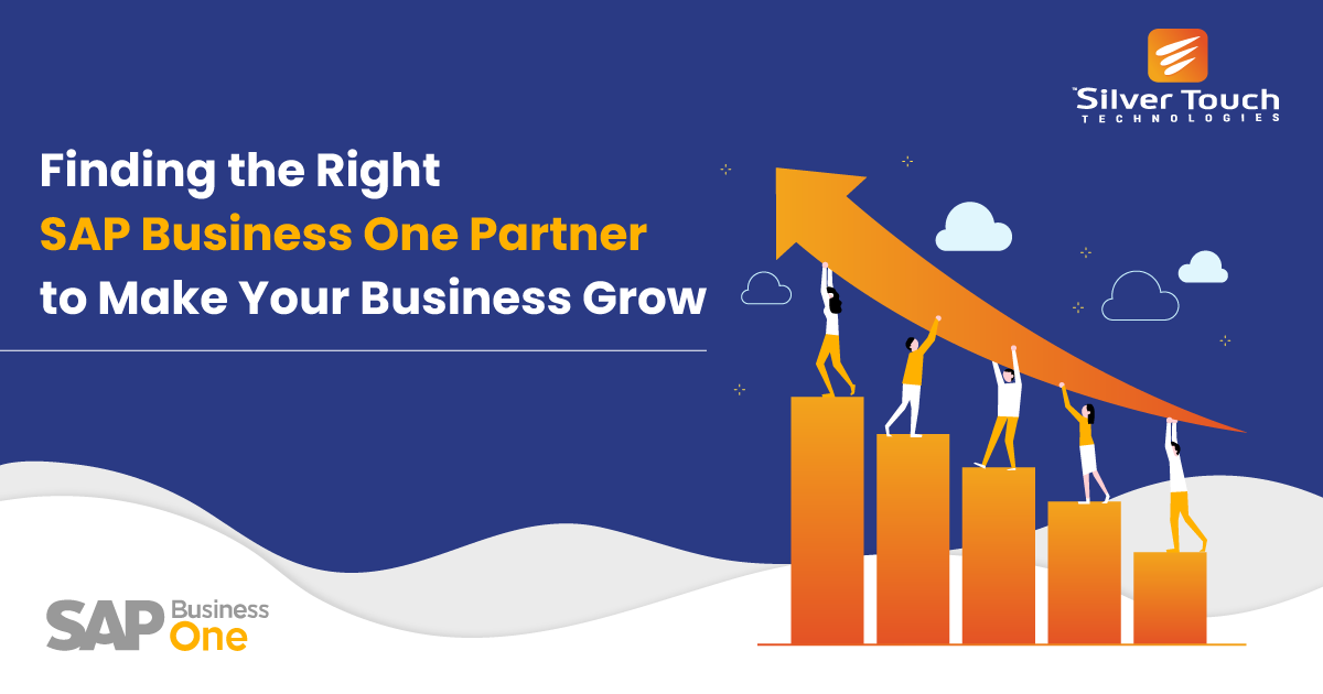 sap business one partner