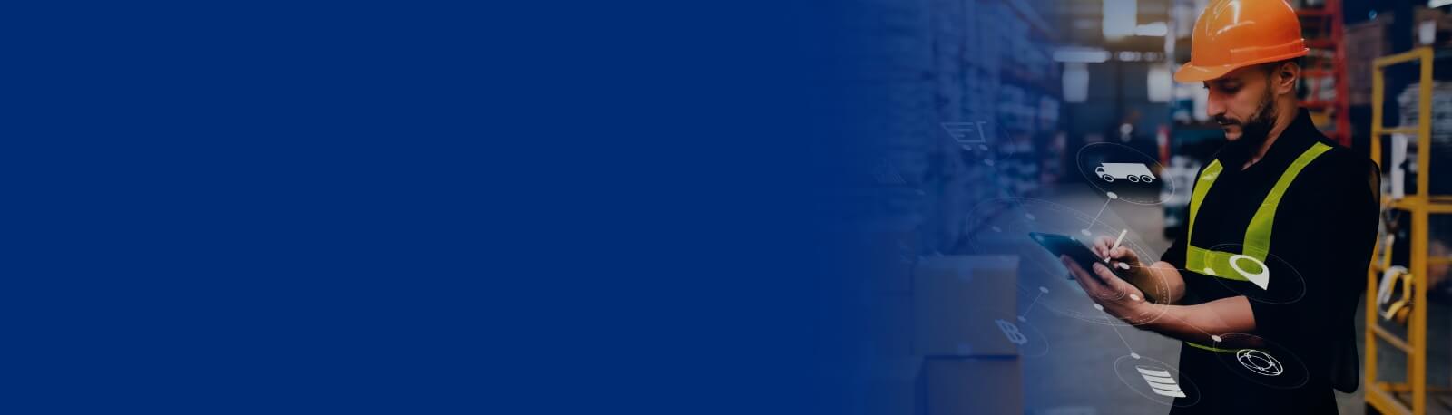 Warehouse Management Systems Warehouse Management Systems