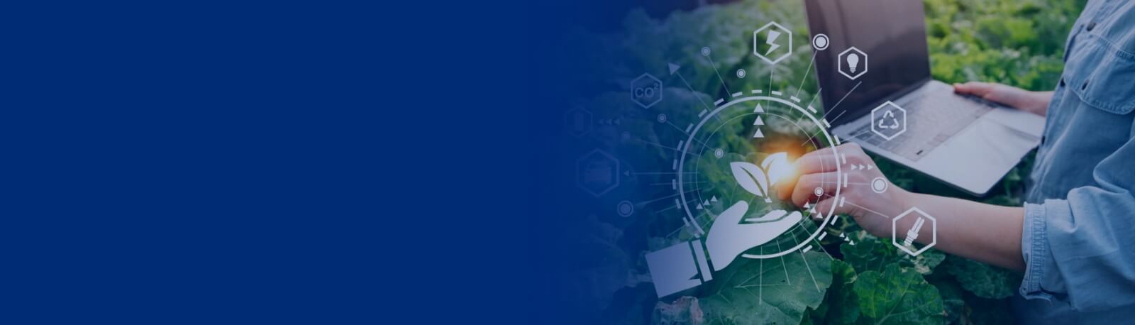 Agriculture Agriculture