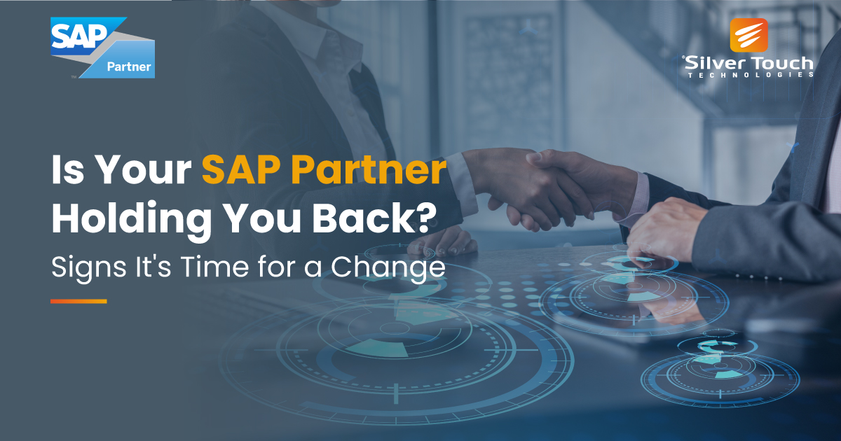 sap business one partner