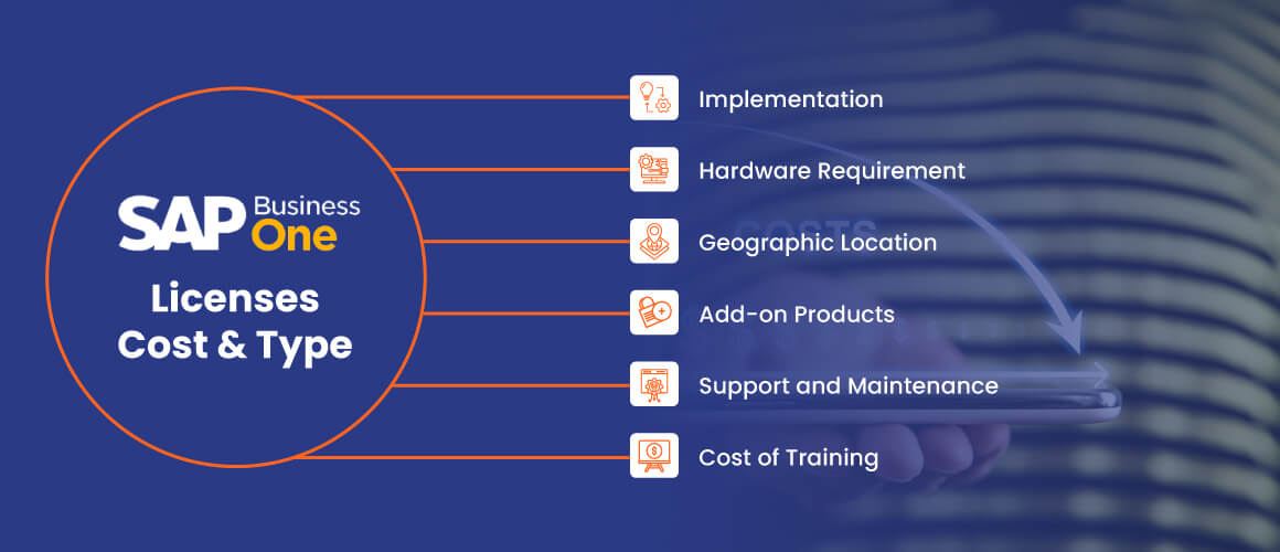 SAP-Business-One-Cost